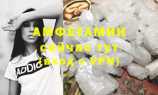 шишки Новодвинск