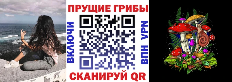 Псилоцибиновые грибы Magic Shrooms Кизилюрт